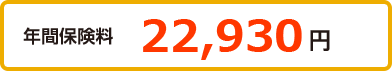 年間保険料 27,110円