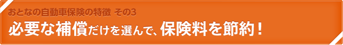 おとなの自動車保険の特徴 その3　必要な補償だけを選んで、保険料を節約！
