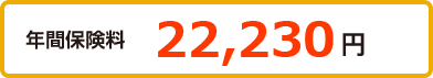 年間保険料 22,330円