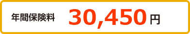 年間保険料 30,450円