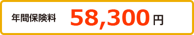年間保険料 61,110円