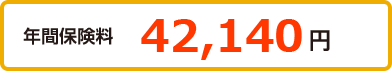 年間保険料 41,960円