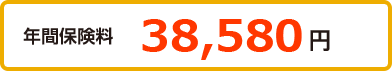 年間保険料 38,140円