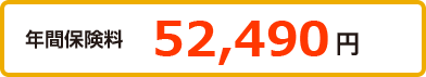 年間保険料 51,350 円