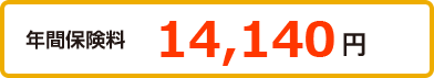 年間保険料 13,060円